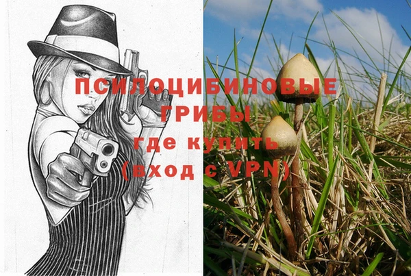 mix Заводоуковск