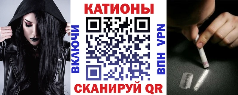 как найти закладки  Западная Двина  МЯУ-МЯУ VHQ 
