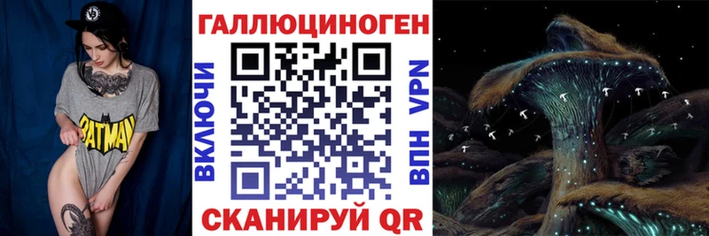 Галлюциногенные грибы мицелий  купить закладку  Западная Двина 